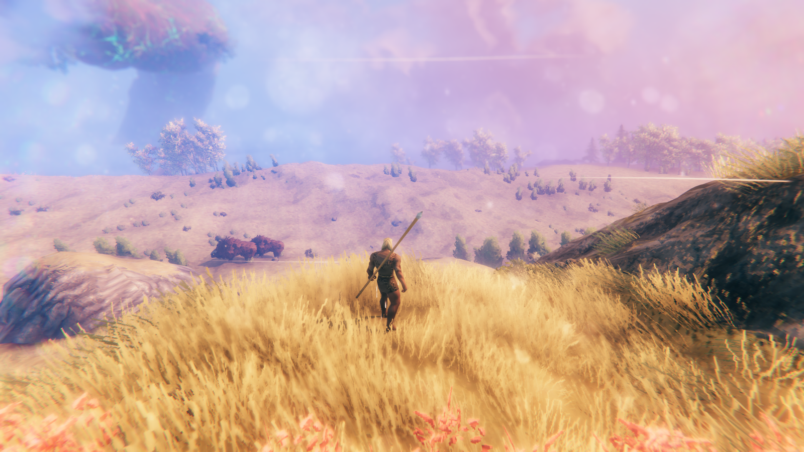 www.polygon.com