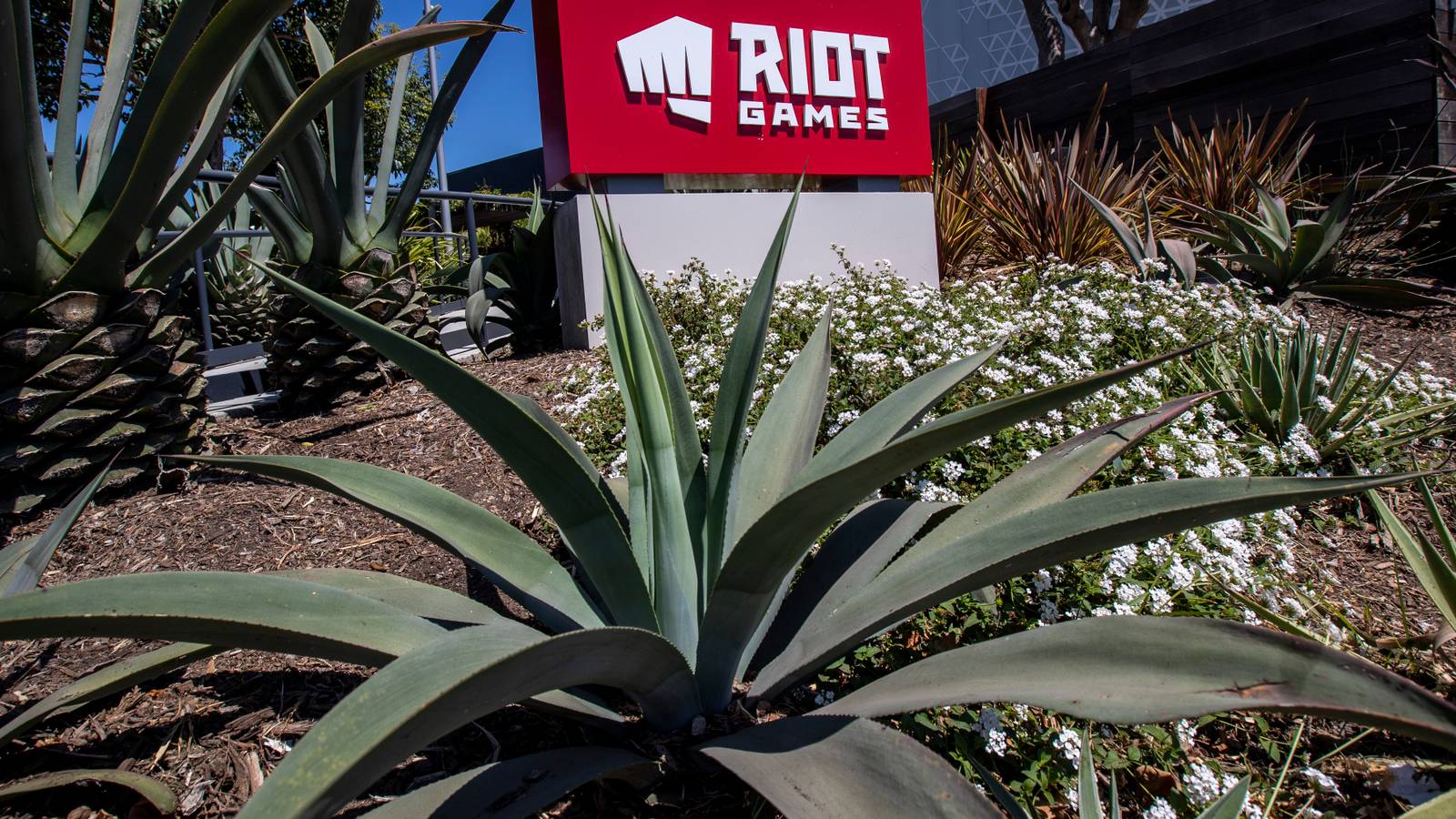 Riot Games clears CEO of harassment, discrimination allegations