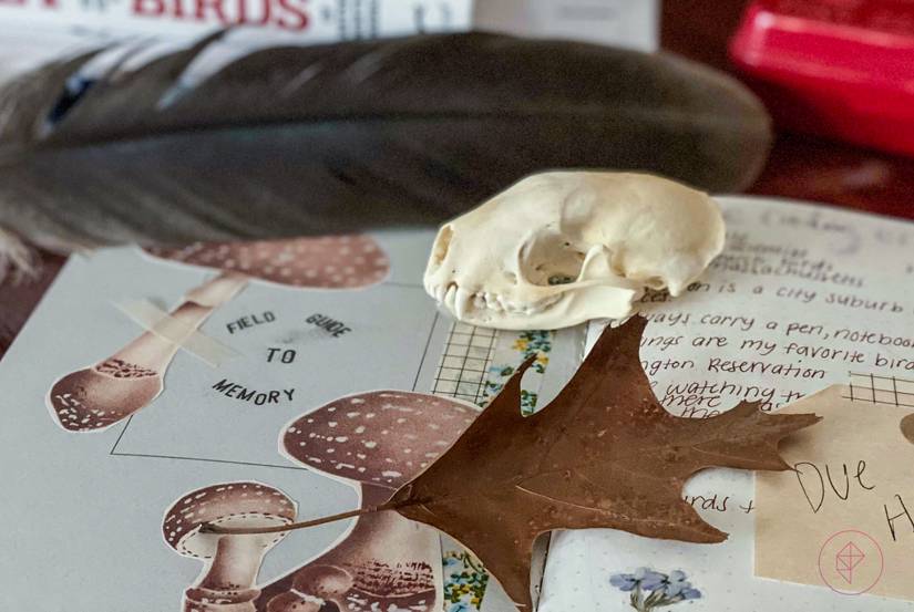 Field Guide to Memory is a ‘keepsake’ game written inside your own journal