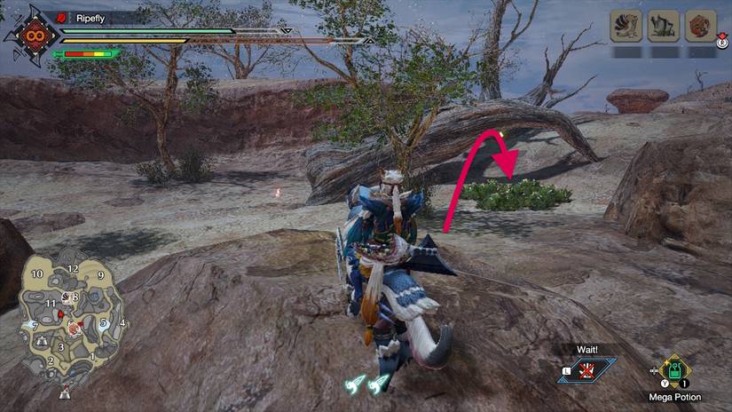 Monster Hunter Rise all Sandy Plains relic records locations and maps