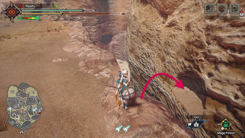 Monster Hunter Rise all Sandy Plains relic records locations and maps