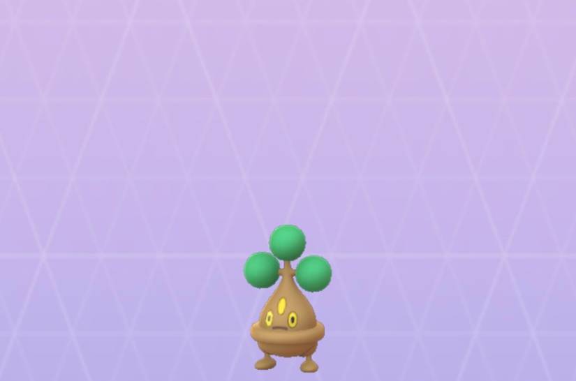 Bonsly on a purple background