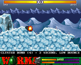 Worms: The Director’s Cut