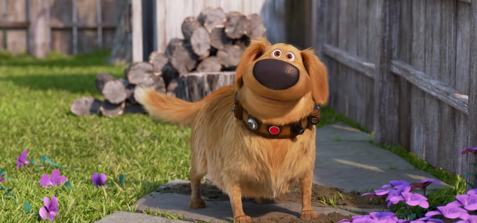 Dug, a golden retriever with a big electronic collar, stands over some dug-up flowers in the animated series Dug Days