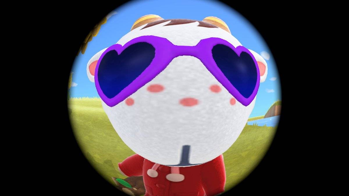 Pro Camera App – Animal Crossing: New Horizons new camera guide