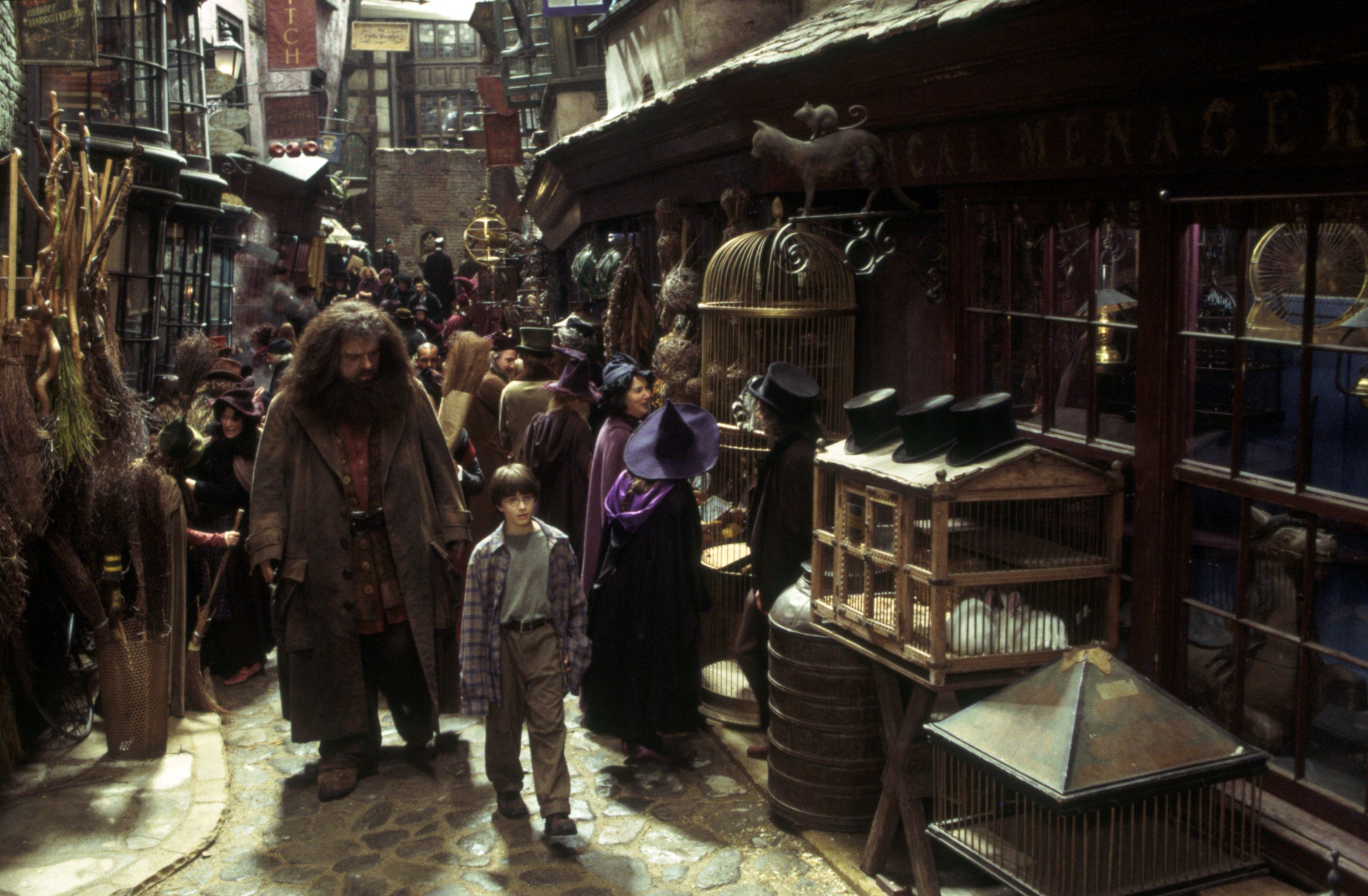 Steven Spielberg Influenced Key Harry Potter Castings