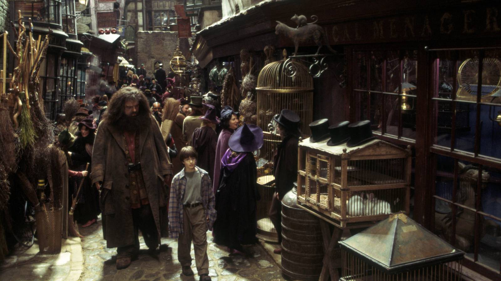 Three of Harry Potter's most iconic castings come from a surprising source