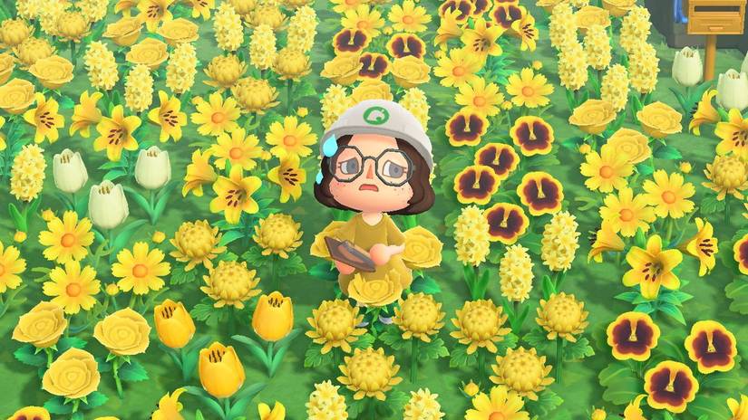 An Animal Crossing: New Horizons player standing in a field of flowers, with a pained expression, and wearing a construction hat.