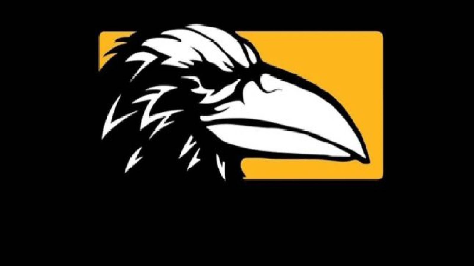 Activision Blizzard to reorganize Raven QA workers amid union efforts