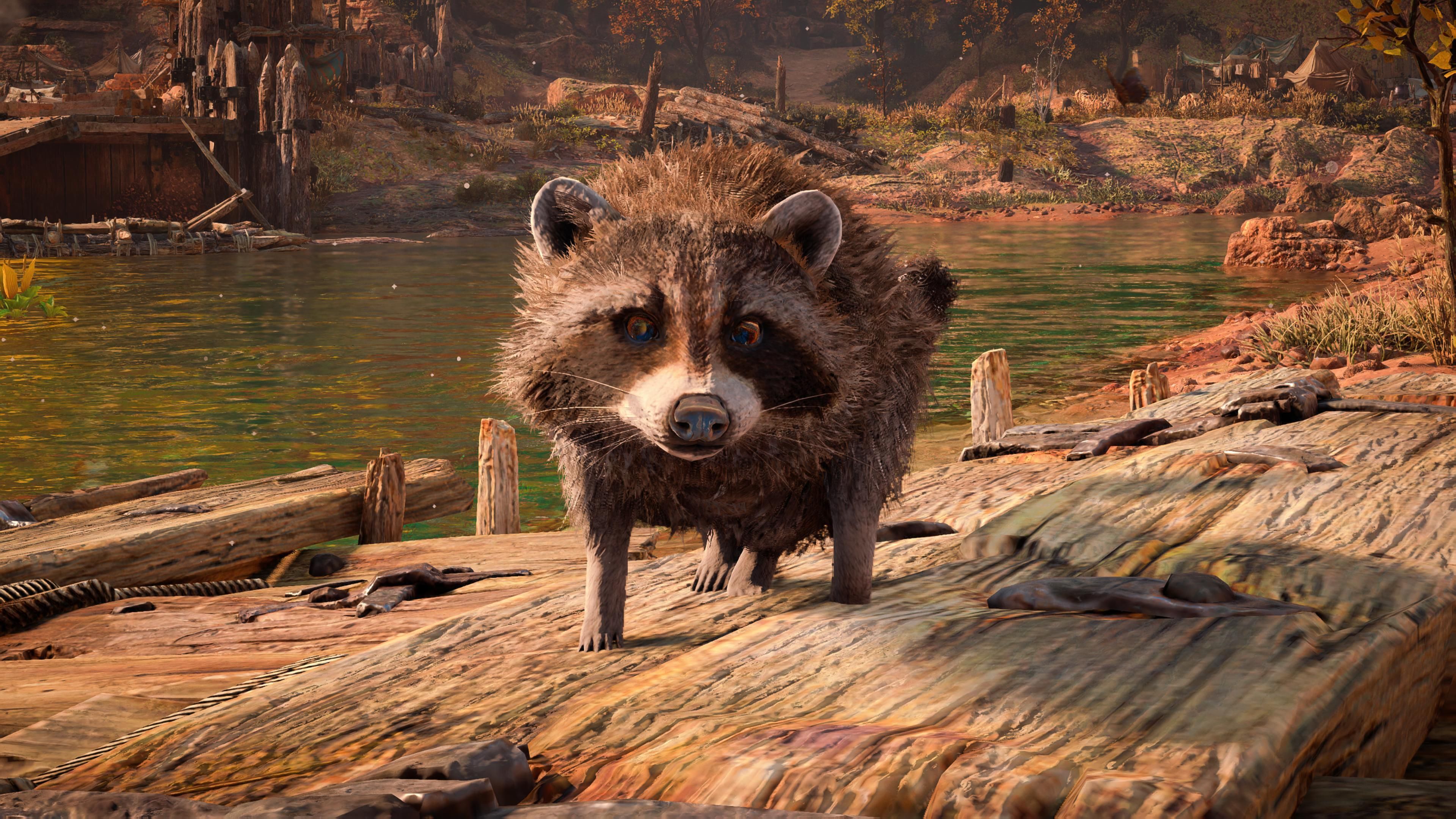Horizon Forbidden West's raccoons got an upgrade
