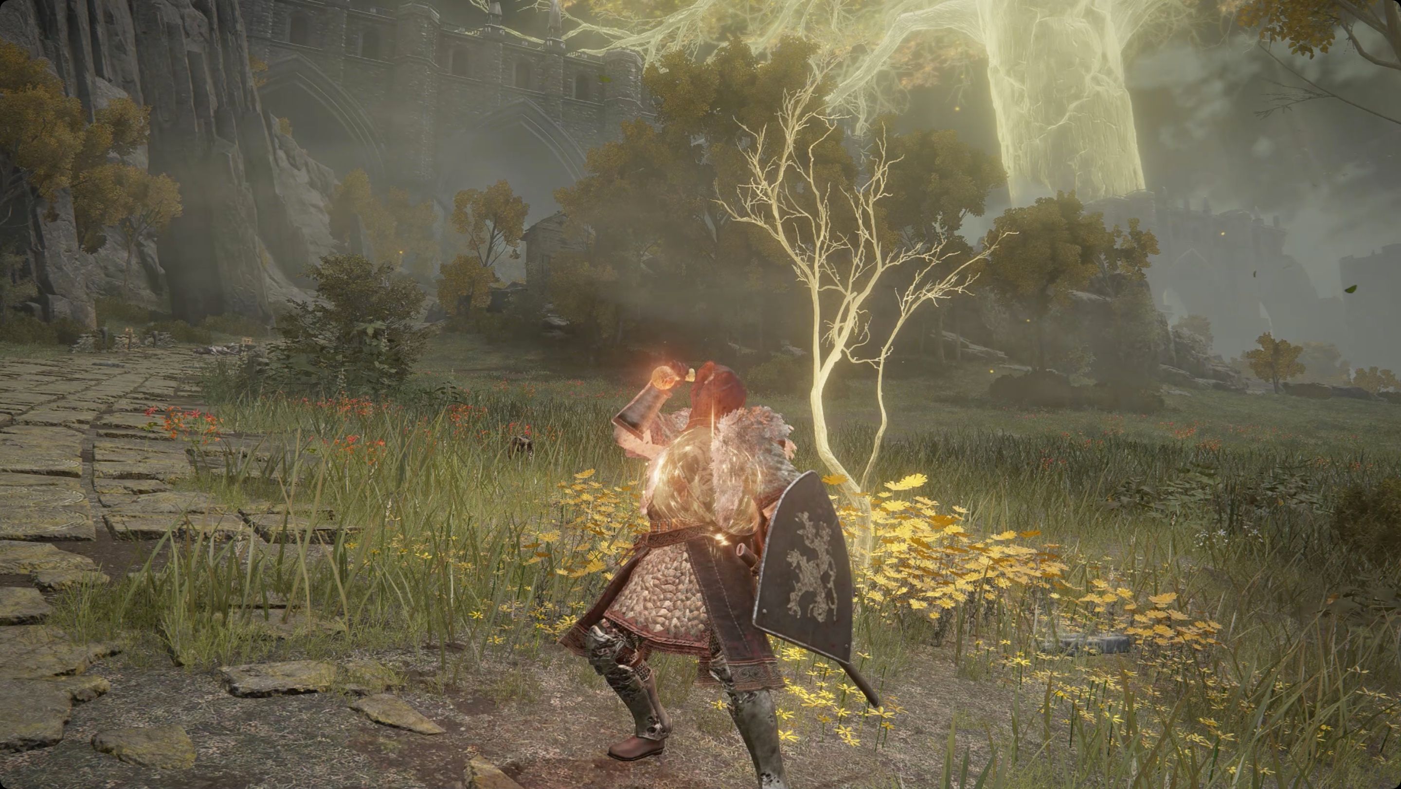 Elden Ring guide: Golden Seed locations