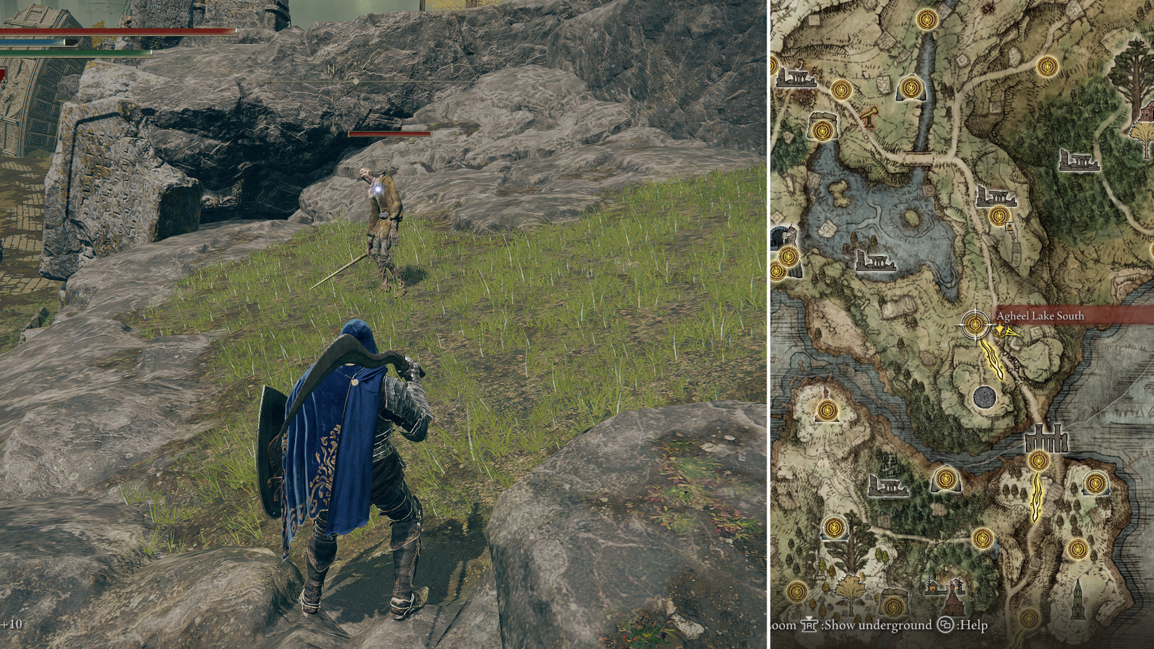 Lesser Runebear All Larval Tear locations in Elden Ring