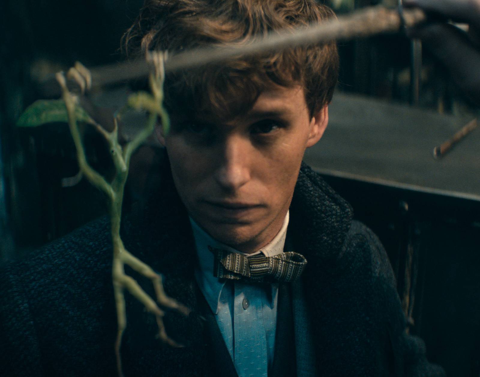 rev_1_FB3_FP_0017_High_Res_JPE