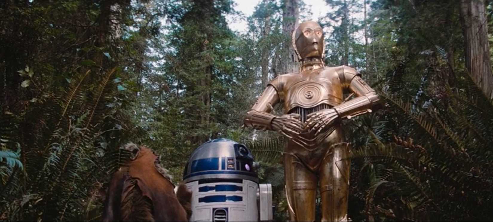 C-3PO, R2-D2, and Wicket the Ewok on the forest moon of Endor from Star Wars: Return of the Jedi