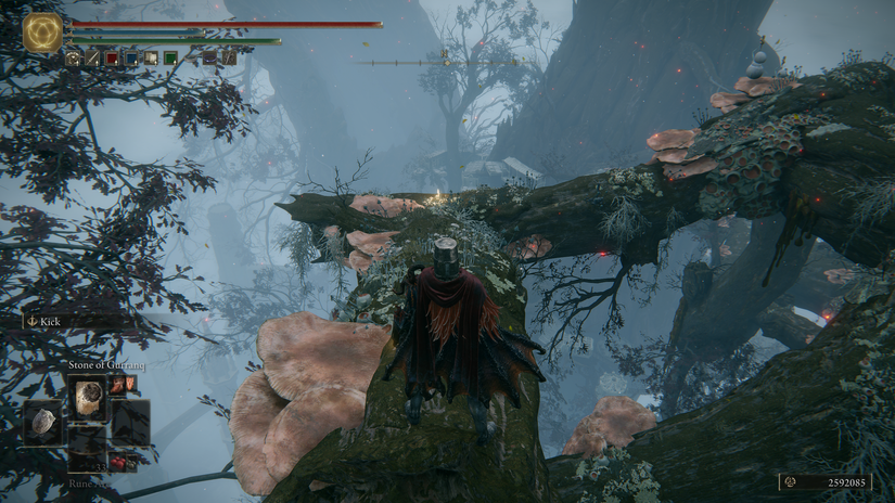 Elden Ring Miquella’s Haligtree walkthrough