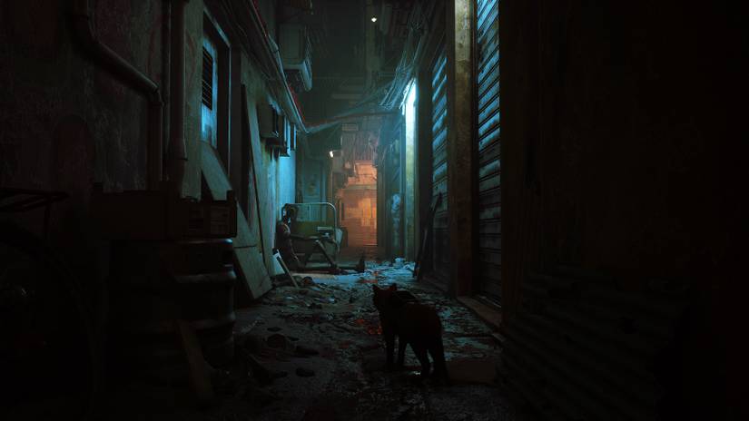 Stray, the cyberpunk cat adventure, has a lovable, believable cat hero