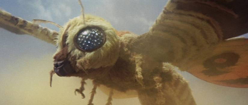 Mothra, looking gorgeous as ever, in Mothra vs. Godzilla.