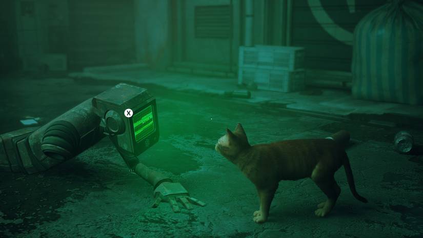 Stray review: a triumphant cyberpunk adventure about being a cat