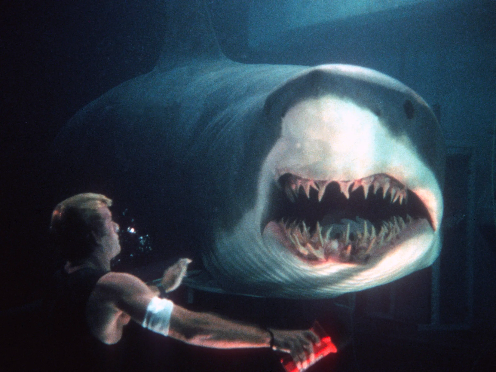 A gigantic shark gnashes its teeth at a startled diver in Deep Blue Sea