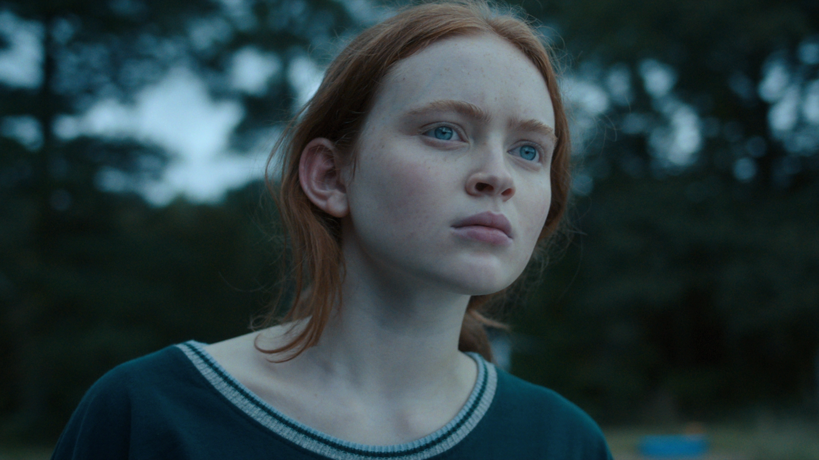 Brand New Day has nothing to do with Sadie Sink