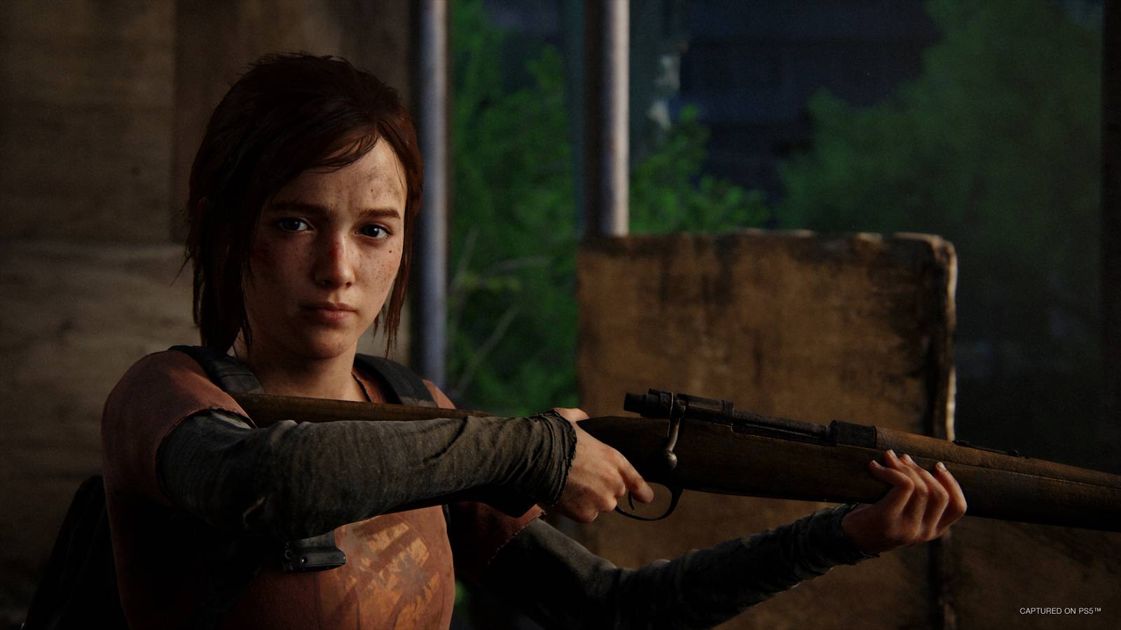 www.polygon.com