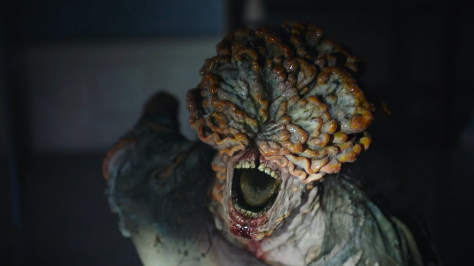 HBO’s The Last of Us: Every type of infected zombie