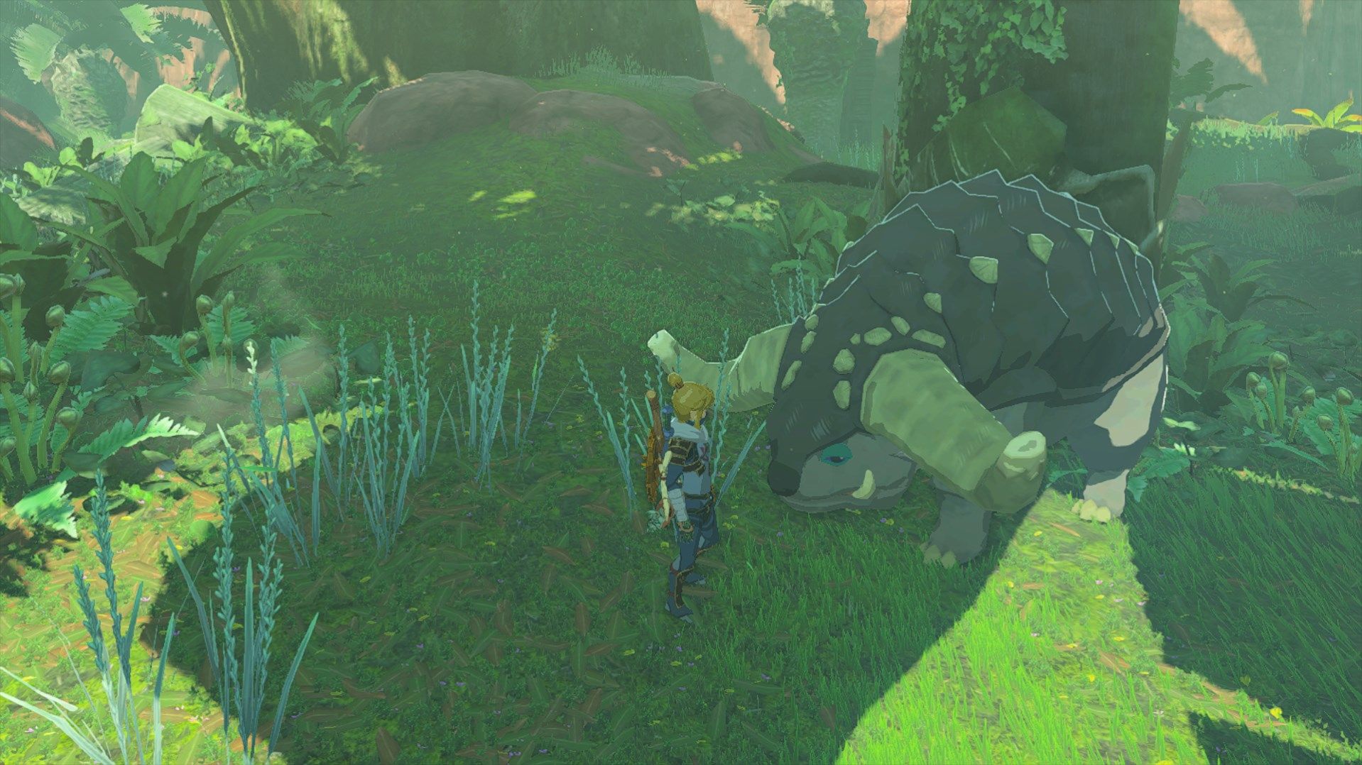 Dondon locations, uses in Zelda: Tears of the Kingdom