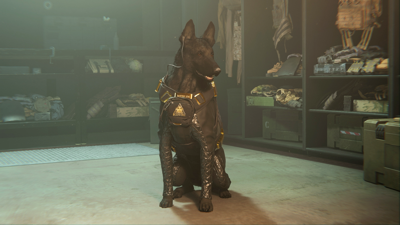 Call of Duty: Modern Warfare 2 BlackCell season 5 adds a wearable dog