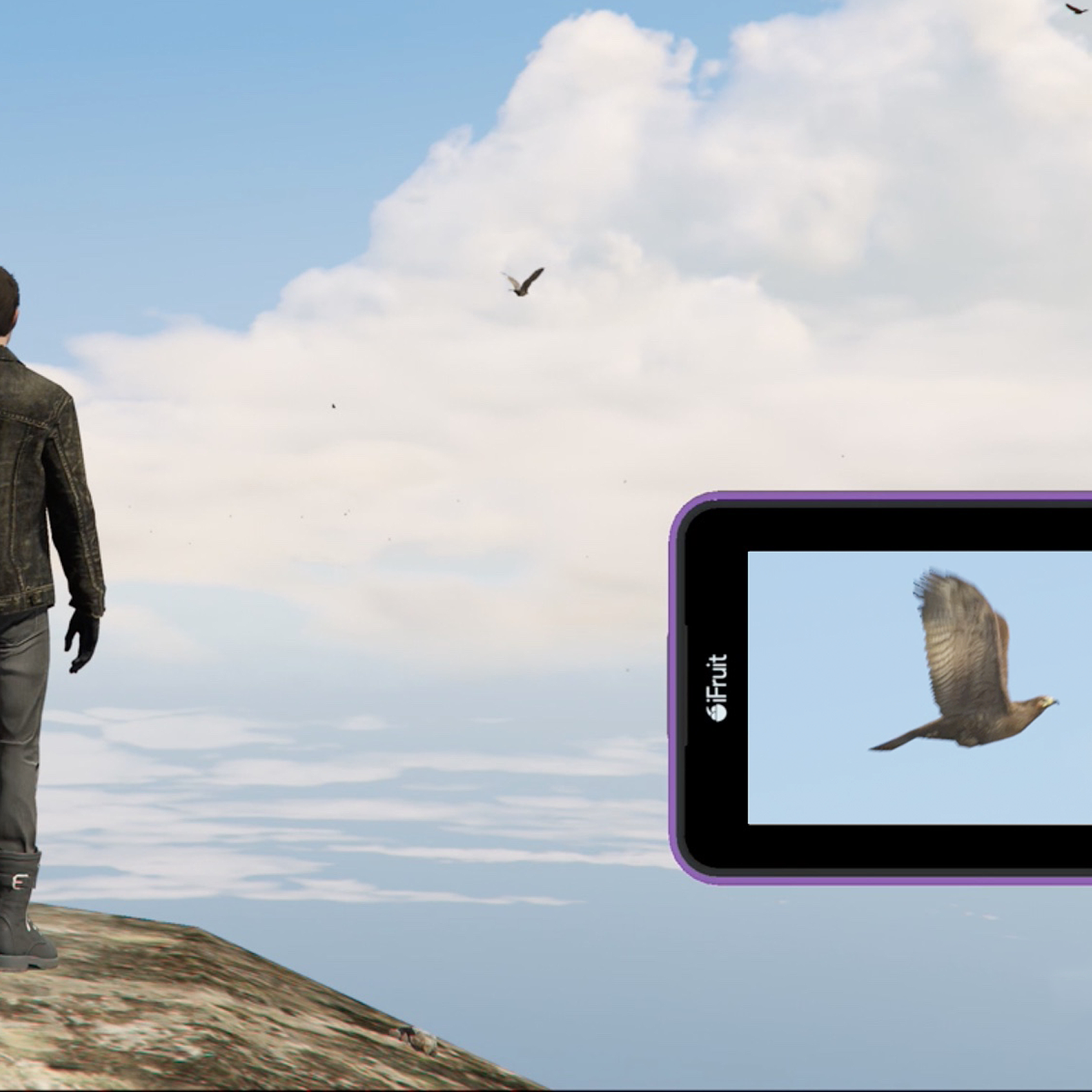 Animal locations list in GTA Online, image size:1600x1600