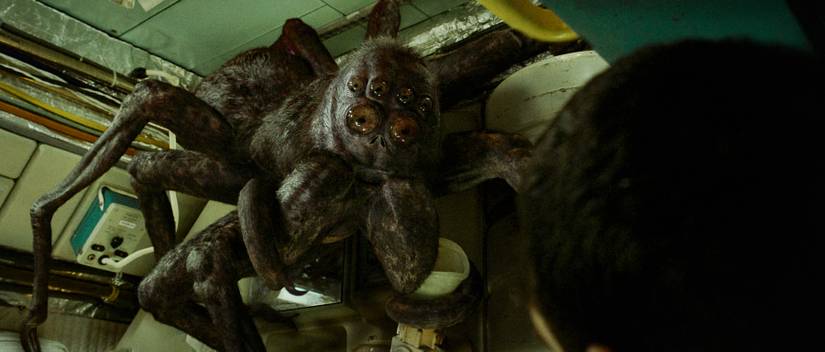 Is Adam Sandler’s space-spider real in Spaceman? The director says yes