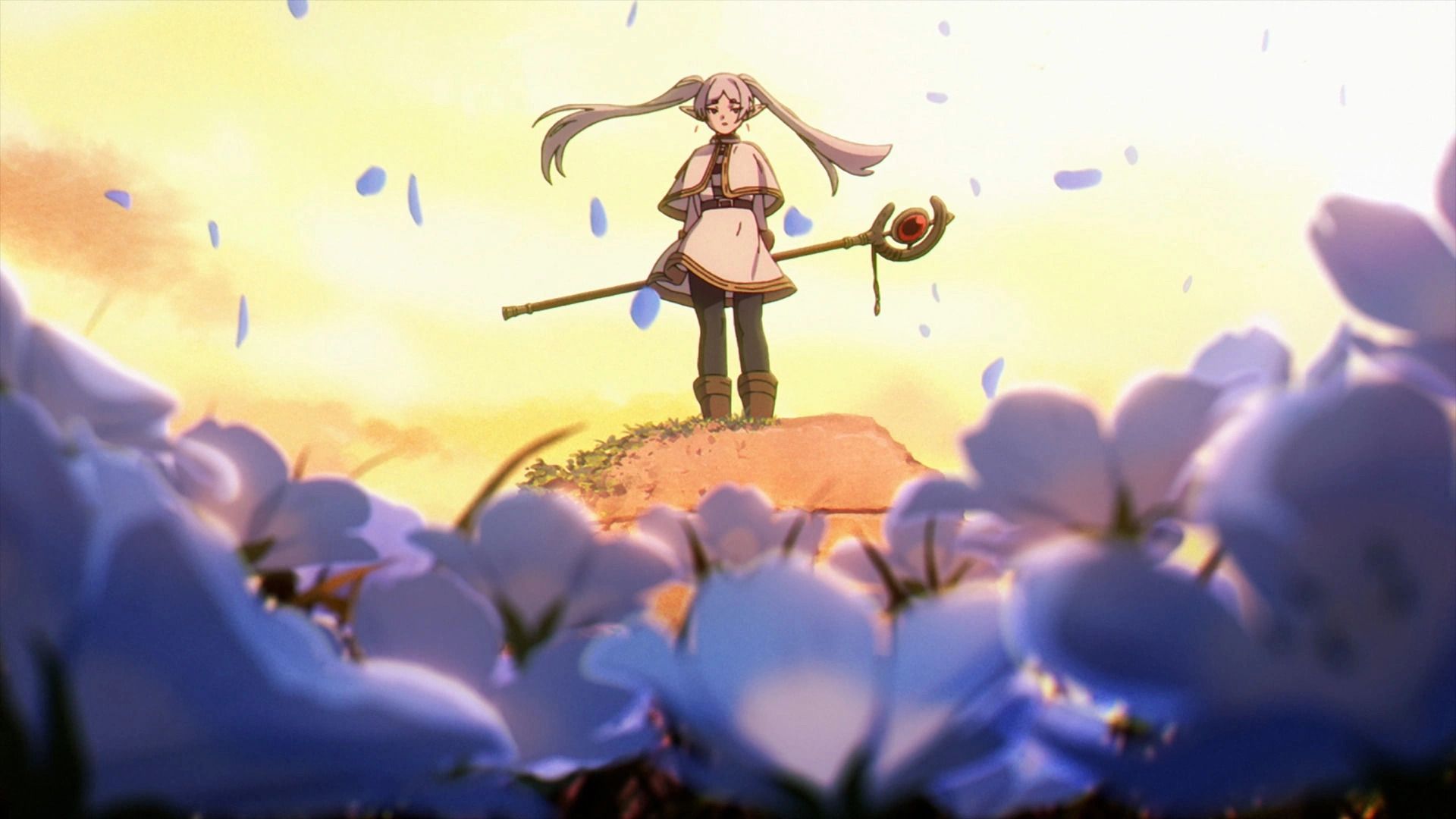 An elven woman with white hair stands on a wall, a gorgeous orange sunset behind her, with blue petals flying around