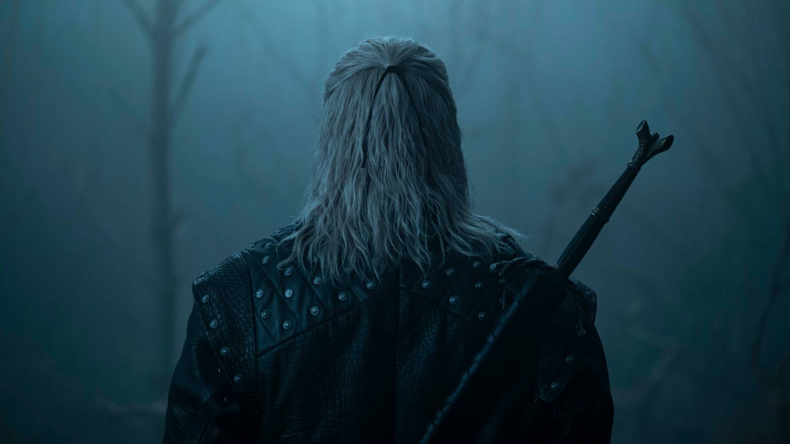 Netflix Sets The Witcher Season 5's Fate