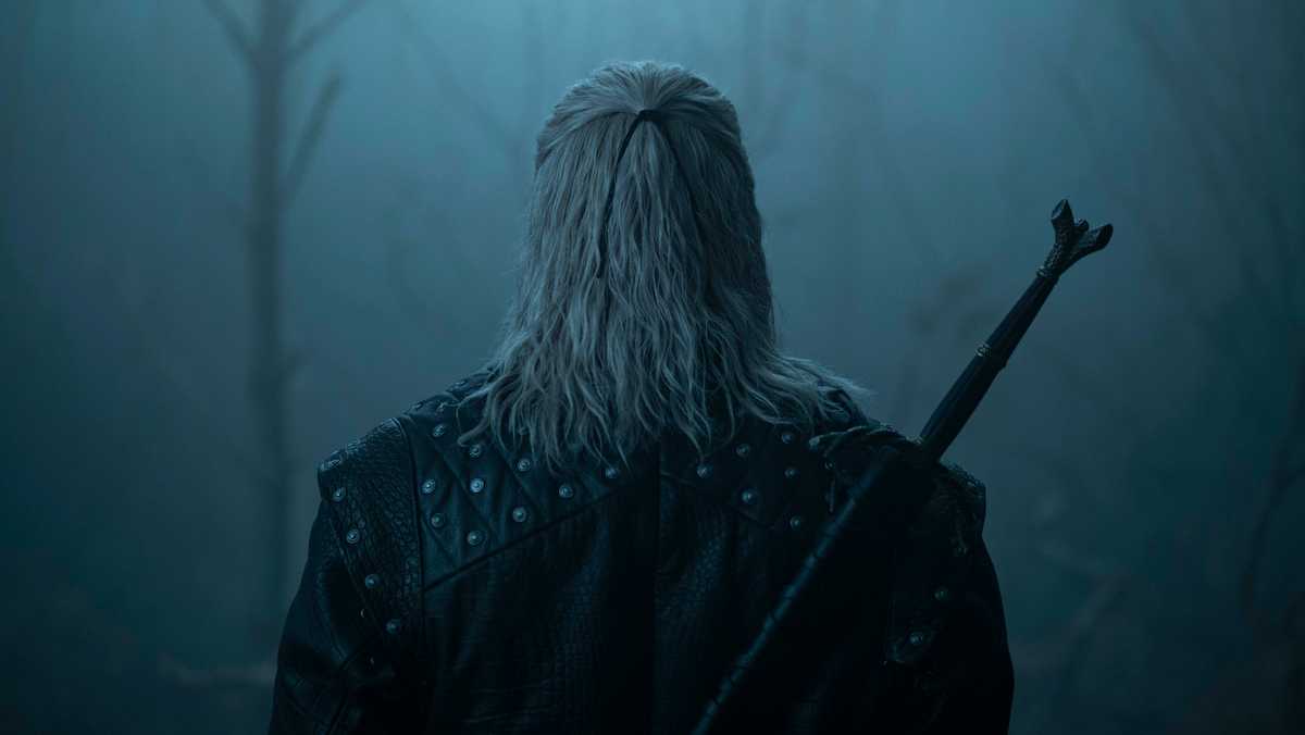 Future The Witcher projects