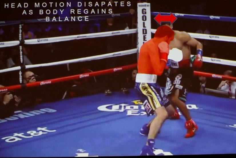 Destiny's animators studied boxing to keep you from getting sick