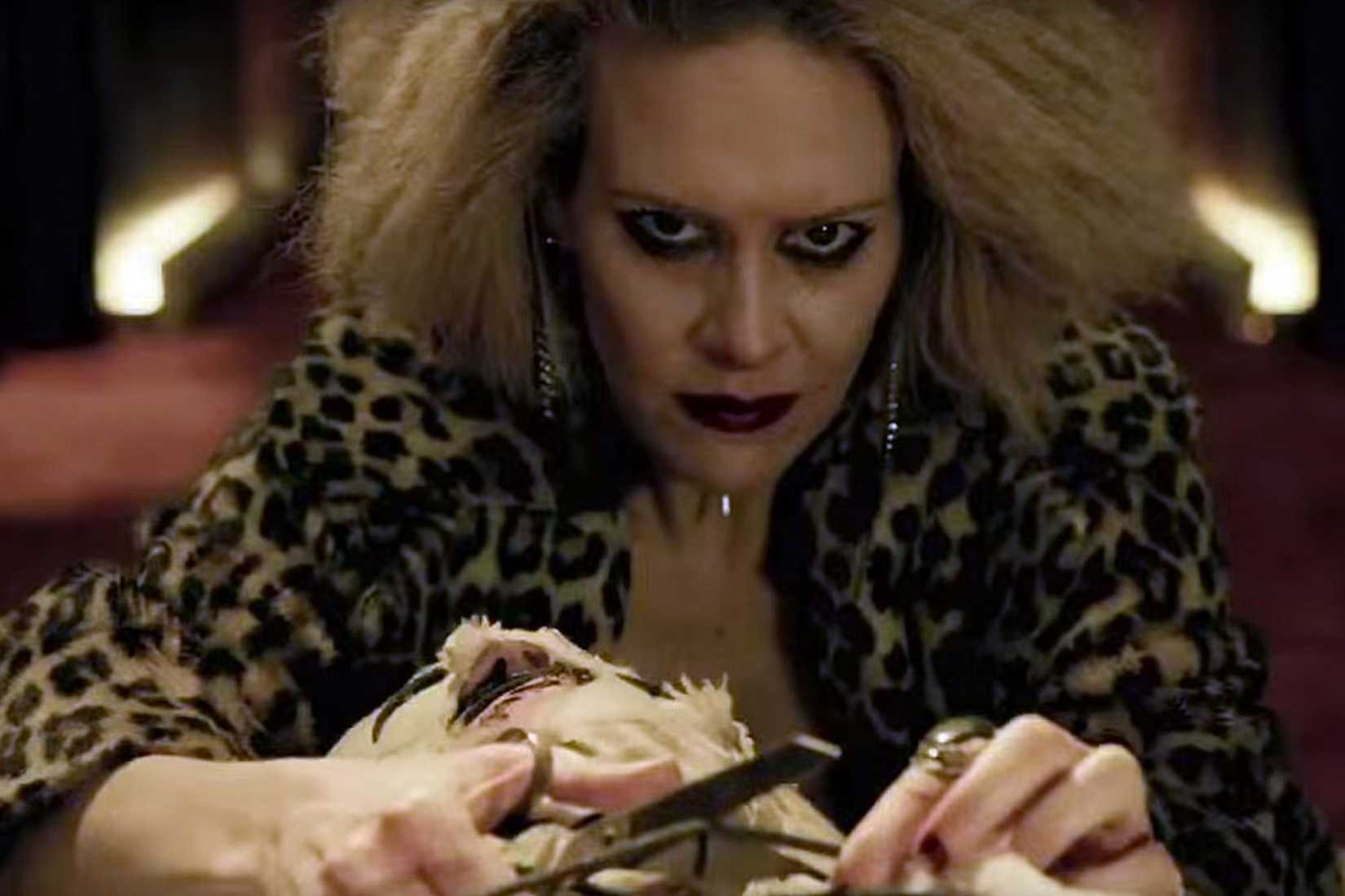 American Horror Story Paulson