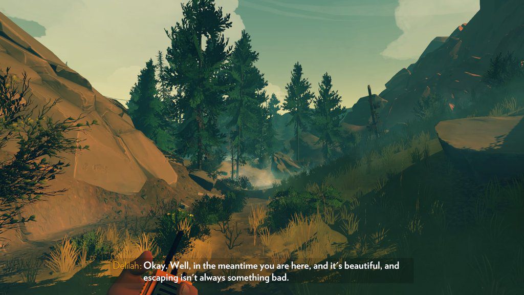Firewatch op-ed 2
