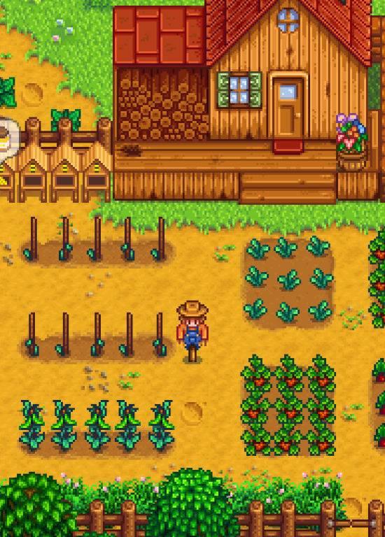 stardew valley