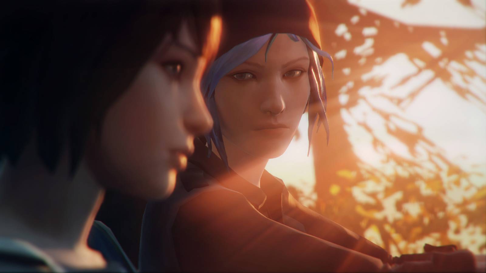 Life is Strange director says her official adaptation will honor the game Life is Strange director says her official adaptation will honor the game