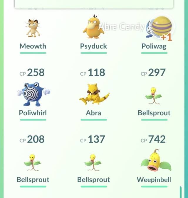Pokémon Go fans are hungry for some more minor text fixes