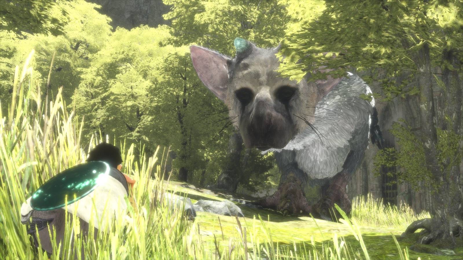 Video games are creating smarter animals