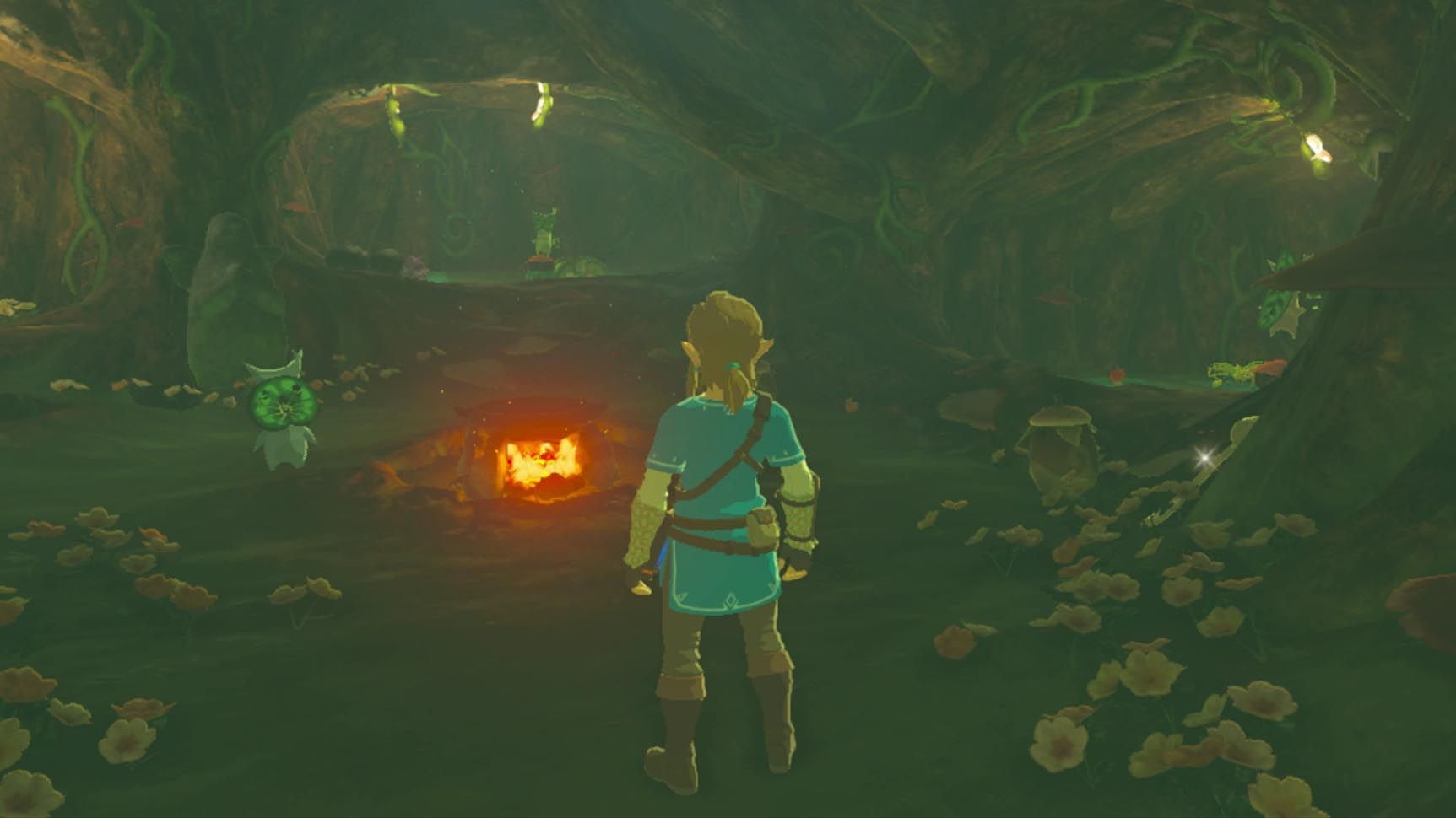 Zelda Breath of the Wild guide: Korok Forest location and map