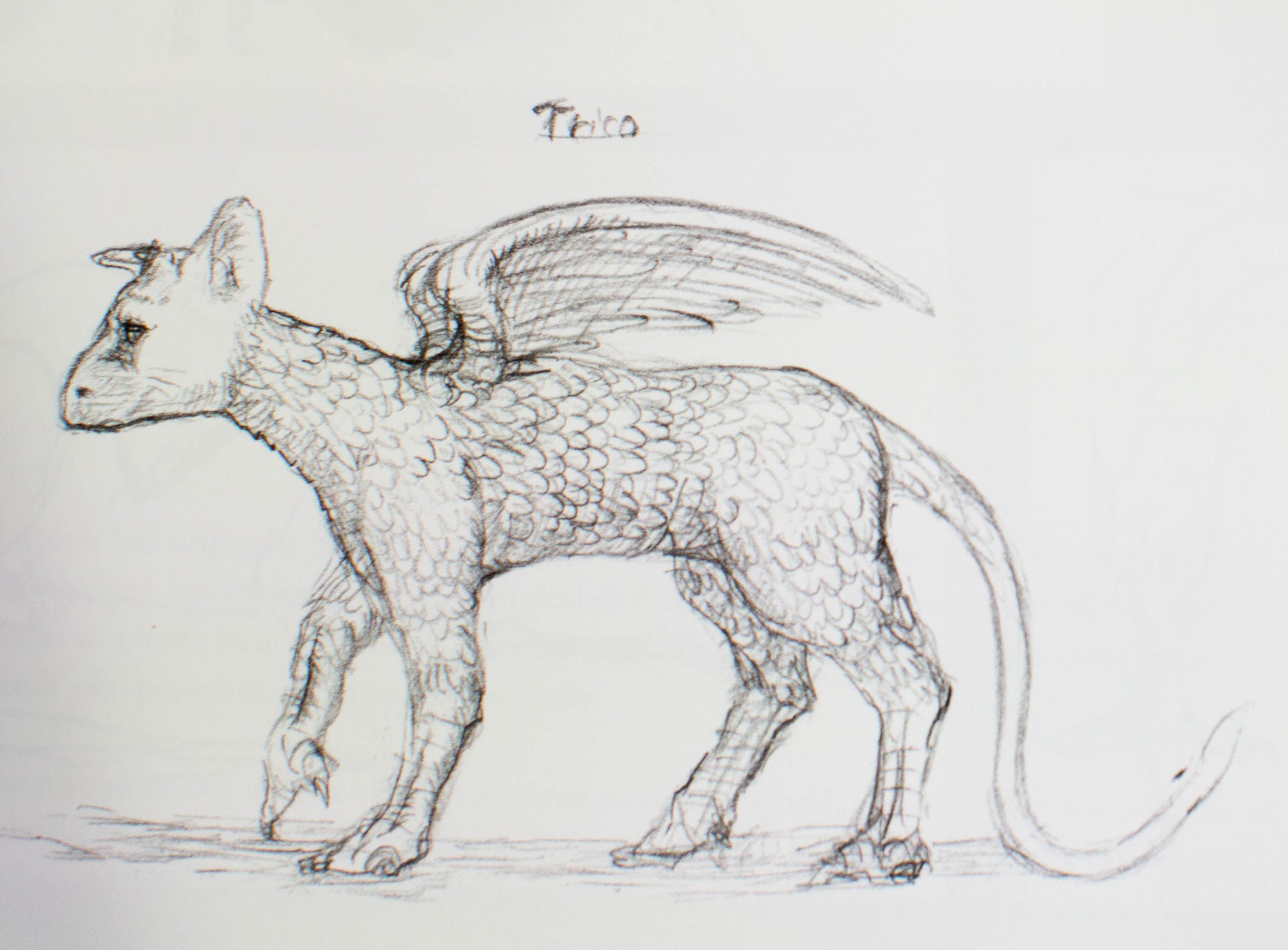 The Last Guardian's terrific companion book also had a long road
