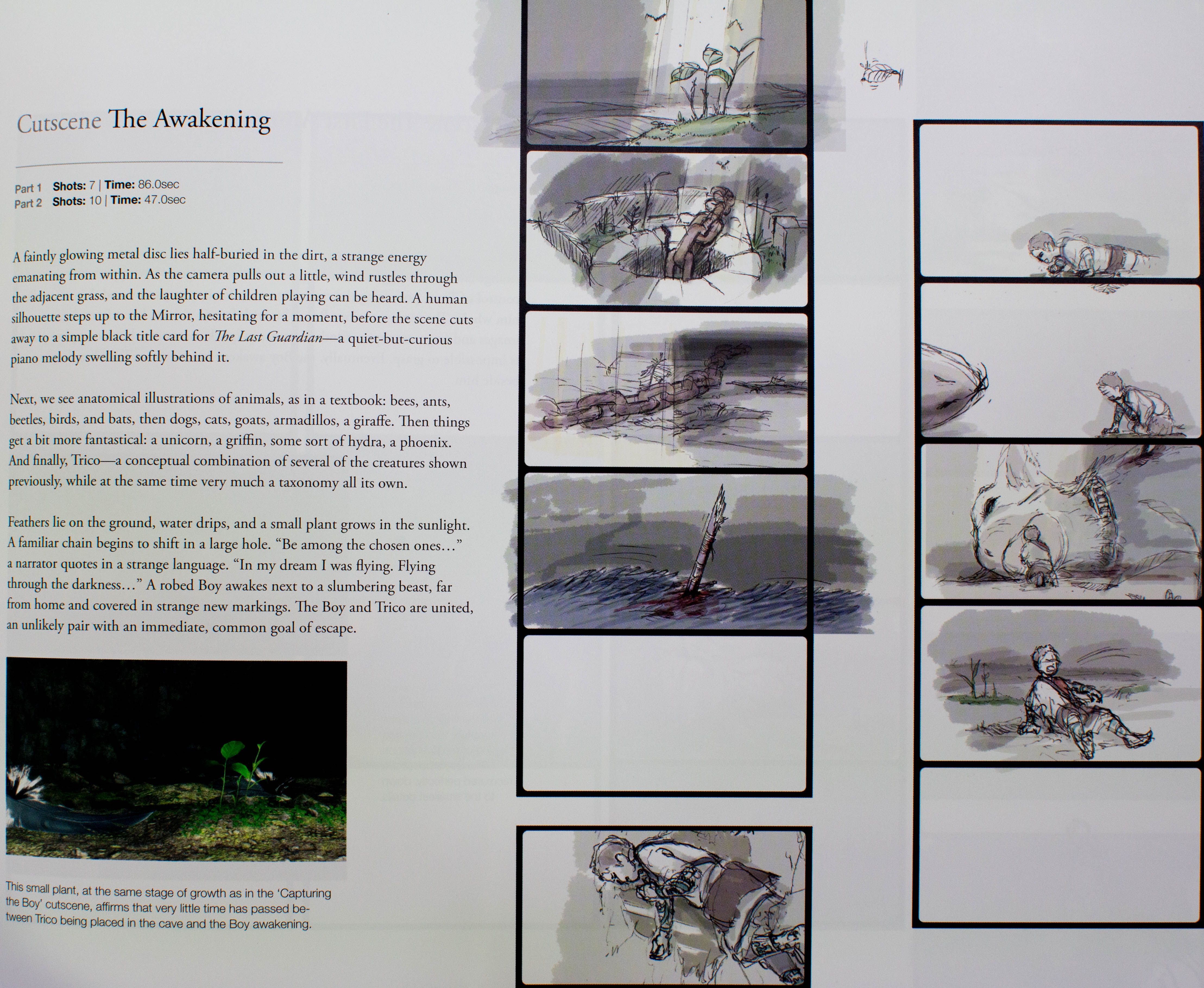 The Last Guardian's terrific companion book also had a long road