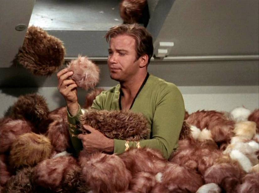 Captain James T. Kirk being overrun by tribbles.