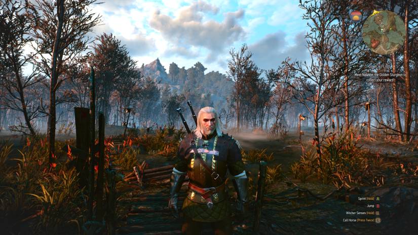witcher 3 photo mode screenshots