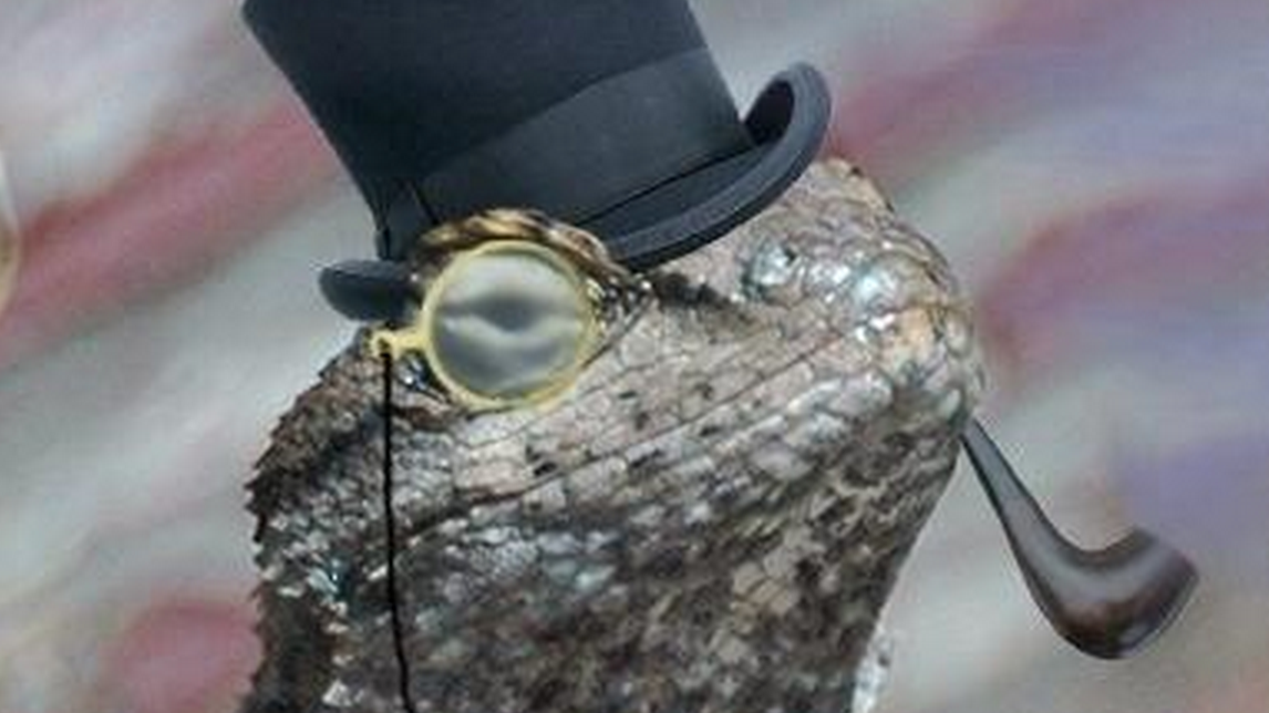 Lizard Squad founder looking at two years in federal prison