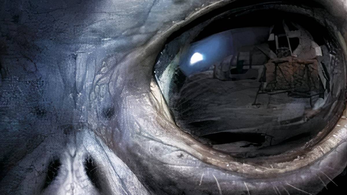 Area 51 | Polygon.com
