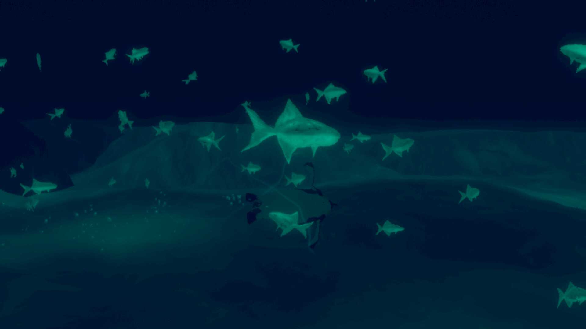 penguin-colony-press-image-9.jpg