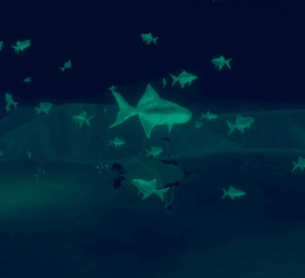 penguin-colony-press-image-9.jpg